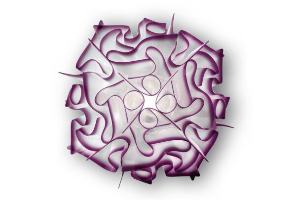 Veli c/w Mini Plum - immagine 3