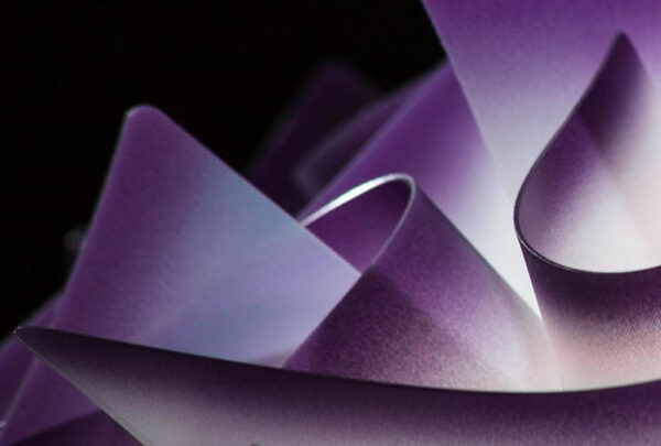 Veli c/w Mini Plum - immagine 4