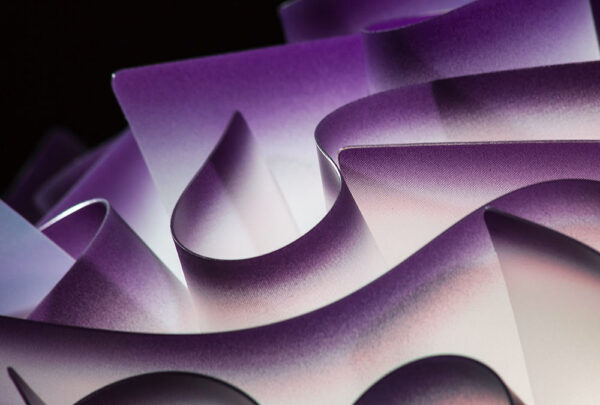 Veli c/w Mini Plum - immagine 6
