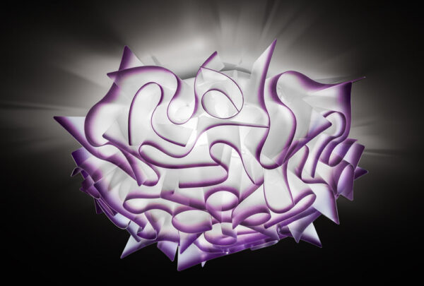 Veli c/w Mini Plum