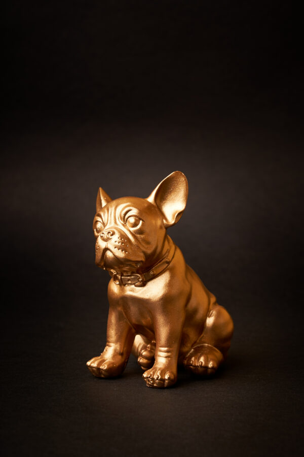 Ruggiero Gold Mini
