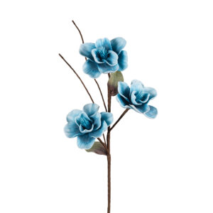 Magnolia Azzurra Flowers
