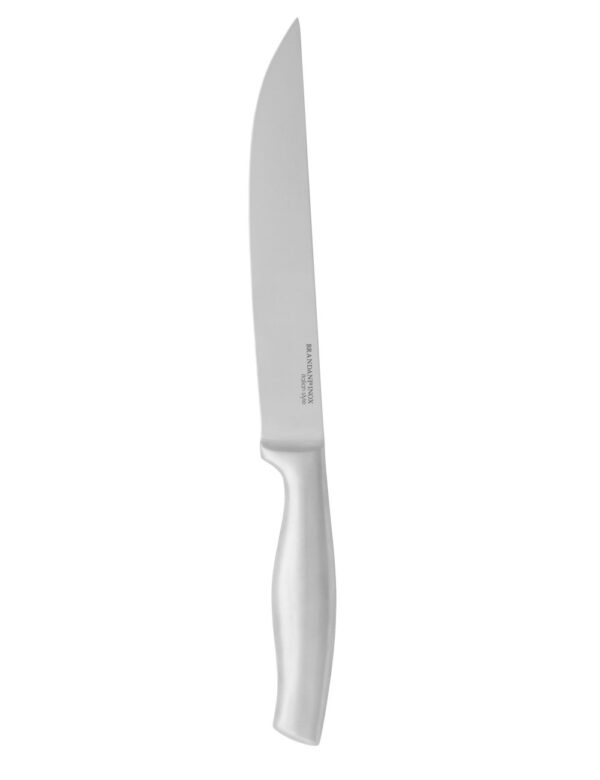 Coltello Cucina Inox